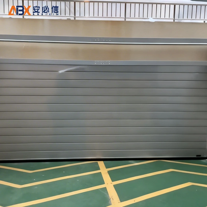 定西厂房高速门